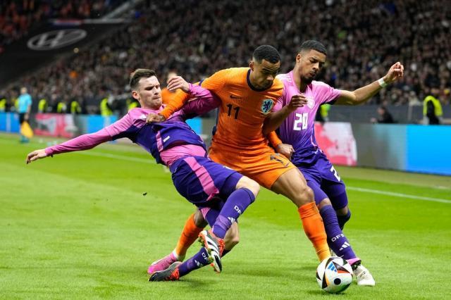 AG百家乐官网-连斩法国荷兰！纳格尔斯曼已经得到了大部分答案